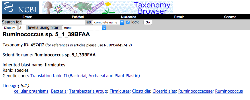 NCBI taxonomy page for Ruminococcus sp. 5_1_39BFAA